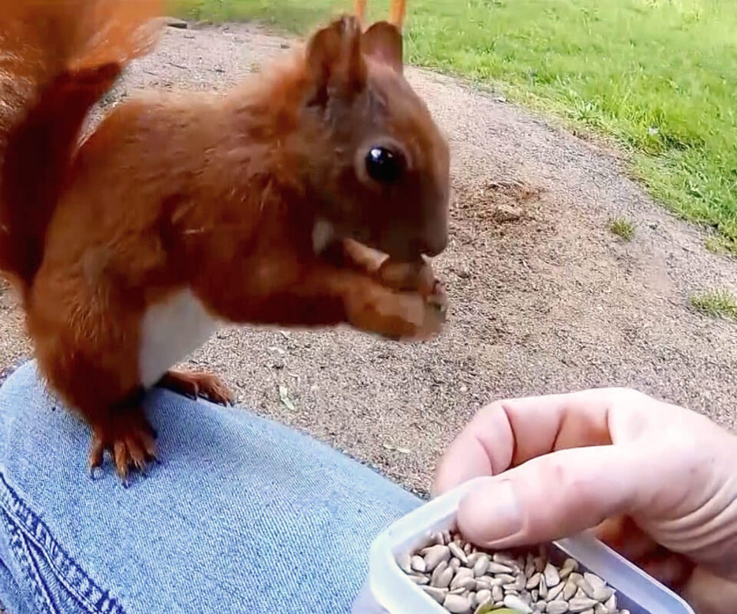 Ausschnitt aus DAS! NDR-Fernsehen, 13.11.2019